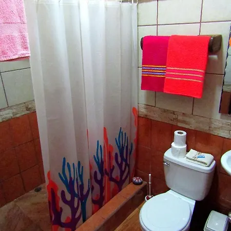 Casa Alegra Appartement Puerto Viejo de Talamanca Buitenkant foto