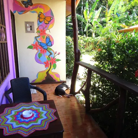Casa Alegra Appartement Puerto Viejo de Talamanca Buitenkant foto