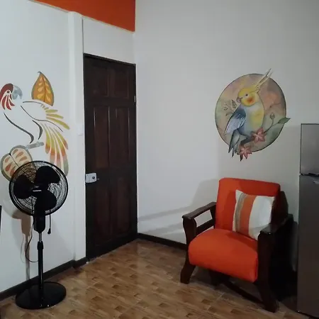 Casa Alegra Appartement Puerto Viejo de Talamanca Buitenkant foto