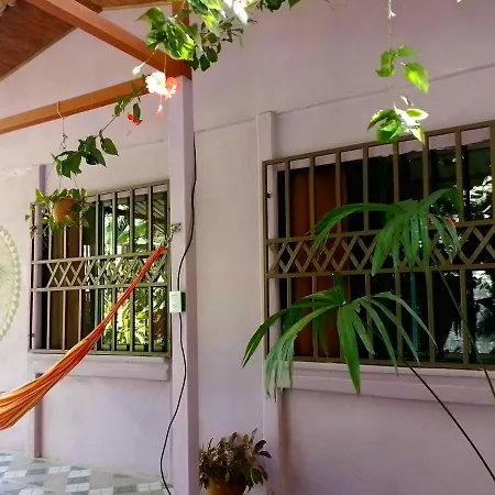 Casa Alegra Appartement Puerto Viejo de Talamanca Buitenkant foto
