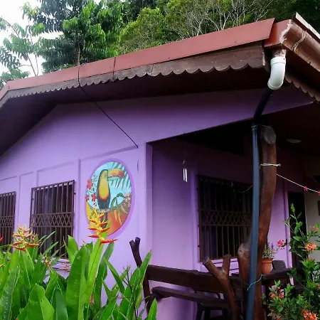 Casa Alegra Appartement Puerto Viejo de Talamanca Buitenkant foto