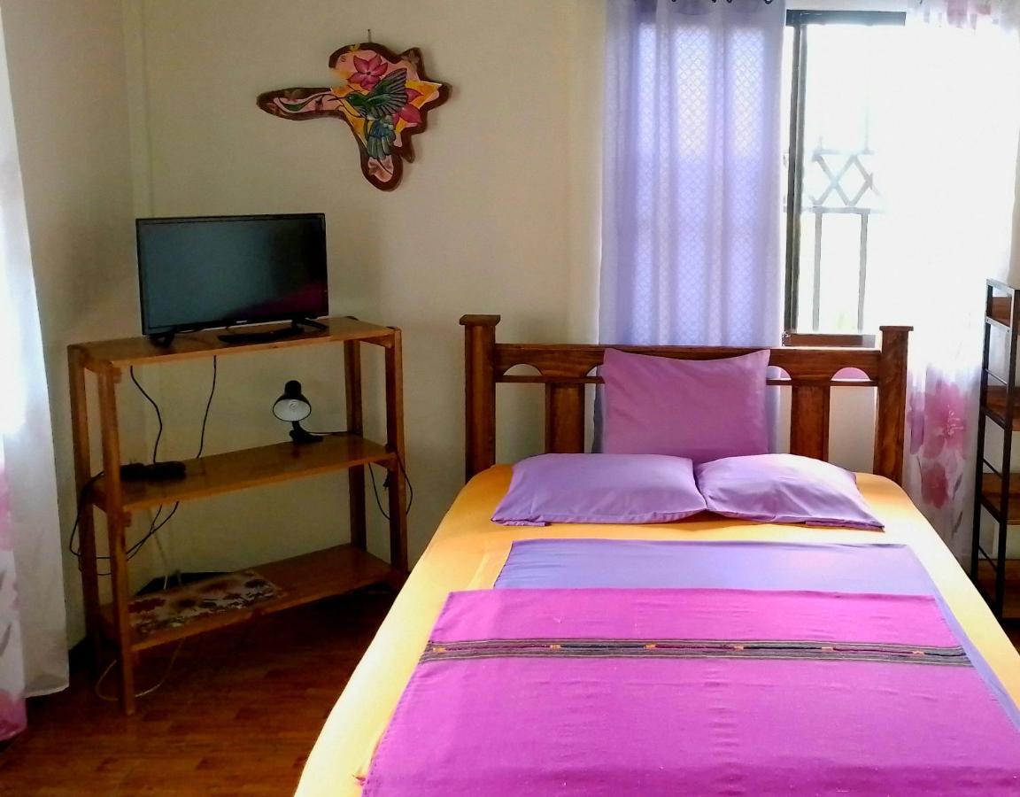 Apartment Casa Alegra
