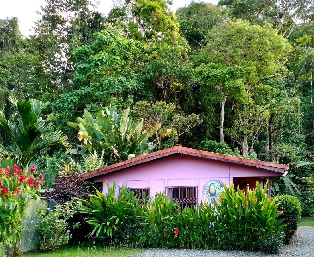 Casa Alegra Puerto Viejo de Talamanca