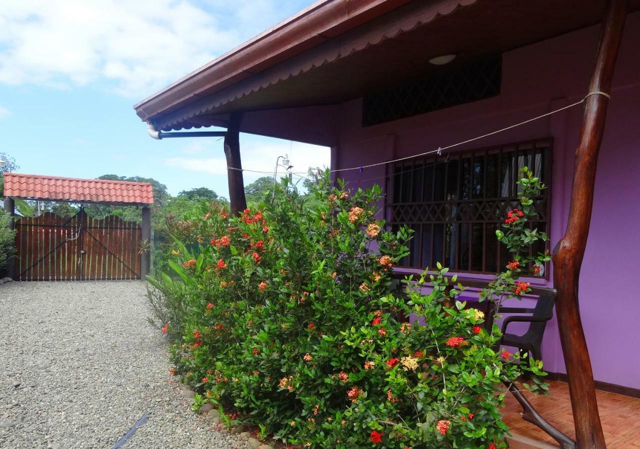Apartment Casa Alegra
